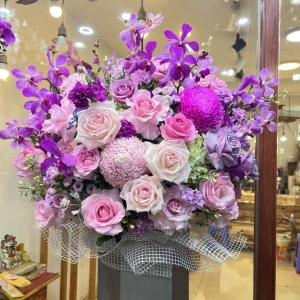 Sinh Nhật Tươi Vui 